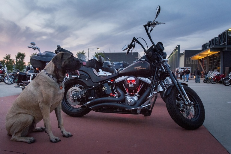 Harley-Davidson wird Partner beim größten Heavy-Metal-Festival