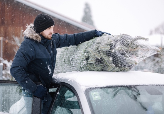 Richtiger Transport vom Weihnachtsbaum