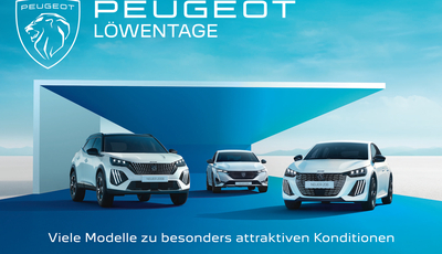 Peugeot Lwentage am Start