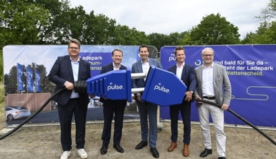 Aral pulse plant Großes