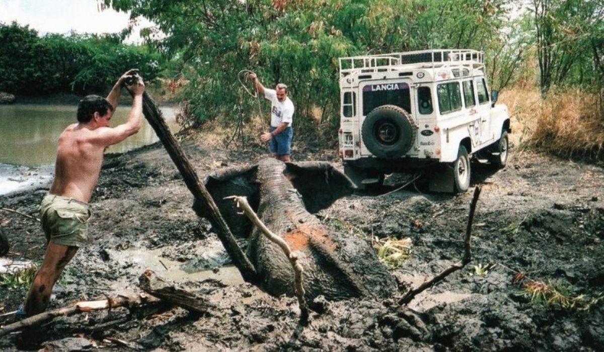 mid Groß-Gerau - Das Fahrzeug spielte bei der Safari 1991 eine entscheidende Rolle bei der Rettung eines Elefantenbabys aus dem Schlamm. Catawiki