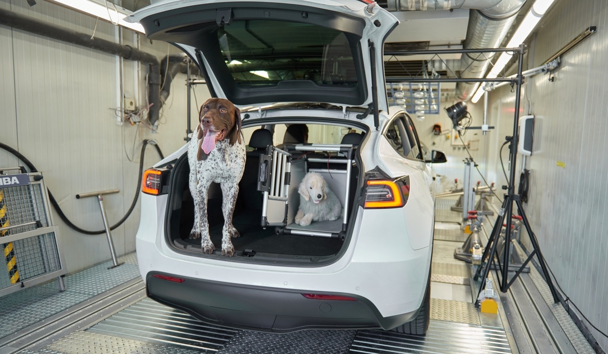 mid Groß-Gerau - Die Experten im ADAC Technik Zentrum haben die Temperatur auf der Rückbank und in einer Hundebox im Kofferraum gemessen. ADAC / Uwe Rattay